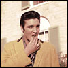 Elvis